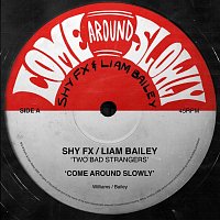 Přední strana obalu CD Come Around Slowly