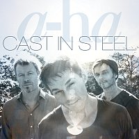 Přední strana obalu CD Cast In Steel