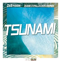 DeStorm, Dani 3Palacios – Tsunami [Remix]