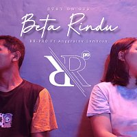 Přední strana obalu CD Beta Rindu