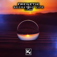 Frenetik – Secret of Life
