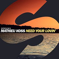 Mathieu Koss – Need Your Lovin'