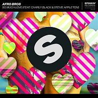 Afro Bros – So Much Love (feat. Charly Black & Stevie Appleton)