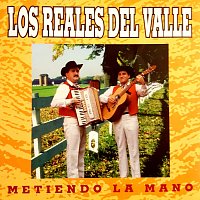 Los Reales Del Valle – Metiendo La Mano [Remastered]