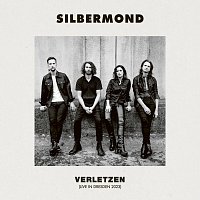 Silbermond – Verletzen [Live in Dresden 2023]