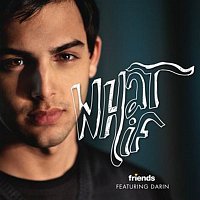 Darin – What If
