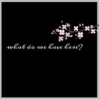 Sameer – What Do We Have Here?