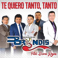 Grupo Bryndis, Diana Reyes – Te Quiero Tanto, Tanto