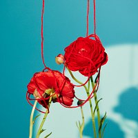 AI – Gift