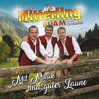 Přední strana obalu CD Mit Musik und guter Laune