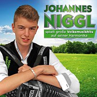 Johannes Niggl – Große Volksmusikhits auf seiner Harmonika - Instrumental