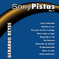 Pista – Sony - Pistas Vol.2 (Gerardo Reyes)