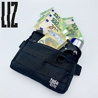 LIZ – Mein Geld