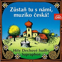 Přední strana obalu CD Zůstaň tu s námi, muziko česká!