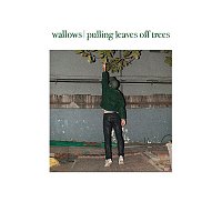 Wallows – Pulling Leaves off Trees