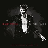 Přední strana obalu CD Fire in the Blood: The Definitive Collection