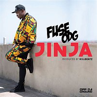 Fuse ODG – Jinja