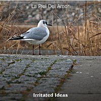 Irritated Ideas – La Piel Del Amor