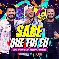 John Amplificado, Douglas & Vinicius – Sabe Que Fui Eu [Ao Vivo]