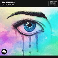 2Elements – Cry For You