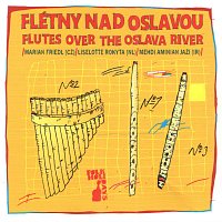Liselotte Rokyta, Mehdi Aminian Jazi, Marian Friedl – Flétny nad Oslavou. Folkové prázdniny CD