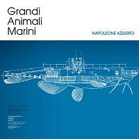 Grandi Animali Marini – Napoleone azzurro