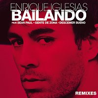 Přední strana obalu CD Bailando [Remixes]