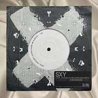 HUGEL, Vidojean X Oliver Loenn, Mr Alameyo – SXY