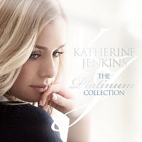 Přední strana obalu CD The Platinum Collection
