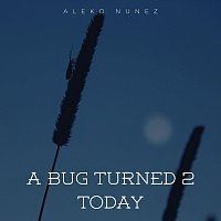 Aleko Nunez – A Bug Turned 2 Today