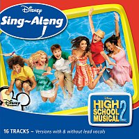 Různí interpreti – Disney Singalong - High School Musical 2