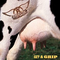 Aerosmith – Get A Grip