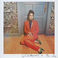 Sarah Jarosz – Wildflowers In The Sky