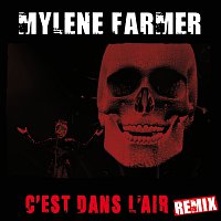 C'Est Dans L'Air [Remix Edit Radio]