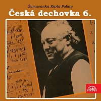 Malá dechová hudba Šumavanka – Česká dechovka 6./Šumavanka Karla Polaty MP3