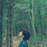 Yoon Do Hyun – The Acoustic Forest
