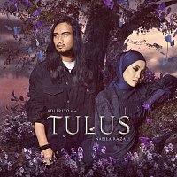 Adi Priyo, Nabila Razali – Tulus