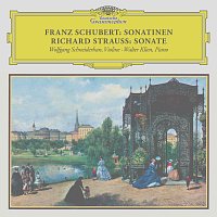 Schubert: Violin Sonata in A Major, D. 574; Fantasia in C Major, D. 934; Rondo in B Minor, D. 895 / R. Strauss: Violin Sonata in E-Flat Major, Op. 18, TrV 151 [Remastered 2023]