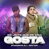 Dyamante DJ, NATTAN – Do Jeito Que Os Cria Gosta