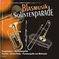 Různí interpreti – Blasmusik Solistenparade