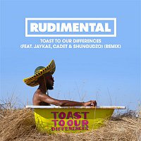 Rudimental – Toast to our Differences (feat. Jaykae, Cadet & Shungudzo) [Remix]