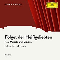 Mozart: Don Giovanni, K. 527, Folget der Heiszgeliebten [Sung in German]