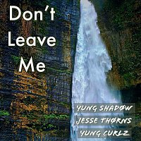 Don’t Leave Me (feat. JESSE THØRNS & Yung Curlz)