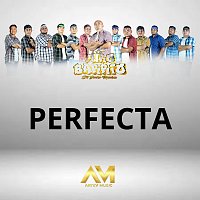 Grupo Puro Barrio – Perfecta