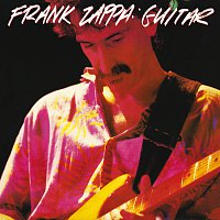 Frank Zappa – Guitar