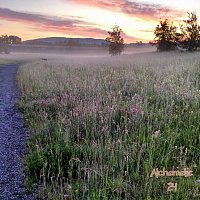 Přední strana obalu CD Alchemelic 24