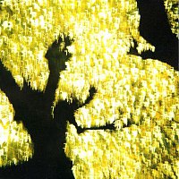 Přední strana obalu CD Angel Archipelago