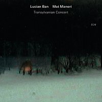 Lucian Ban, Mat Maneri – Transylvanian Concert [Live In Targu Mure?, Romania / 2011]