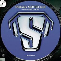 Roger Sanchez, Cooly's Hot Box – I Never Knew