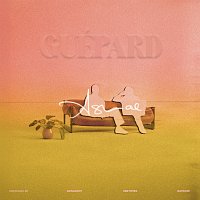 Asmae – Guépard